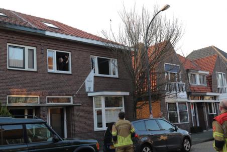 Dwergpapegaai ontsnapt uit woning aan de Baardwijksestraat Waalwijk