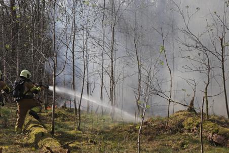 Flinke bosbrand aan de Vijverlaan Waalwijk