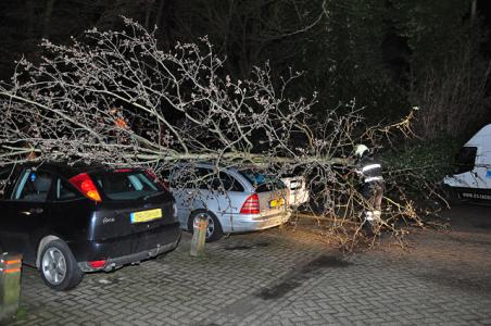 Boom op 4 auto’s aan de Heulstraat Waalwijk