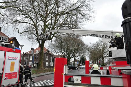 Gevaarlijk hangende takken aan de Burgemeester van der Klokkenlaan Waalwijk