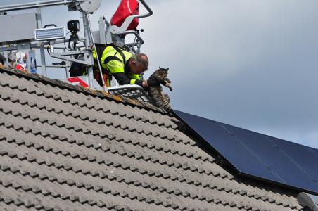 Kat vast onder zonnepanelen Waalwijk, brandweer redt diertje met hoogwerker
