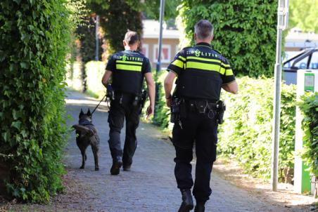 Politie zoekt met hond naar dader van beroving aan winkelcentrum De Els Waalwijk