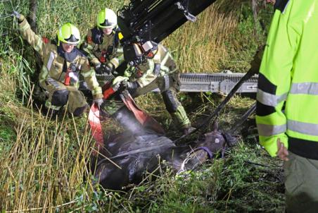 Paard belandt opnieuw in sloot aan het Westeinde Waalwijk