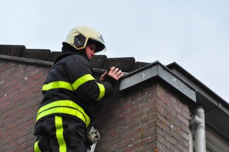 Spreeuw vast in dakgoot aan de Beethovenlaan Waalwijk