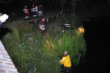 Kat te water aan Het Fort Waalwijk