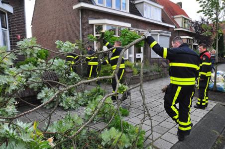 Boompje waait om aan de Burg. Smeelelaan Waalwijk