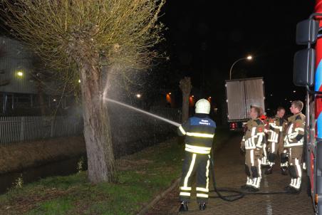 Boom in brand gestoken aan de Zanddonkweg Waalwijk