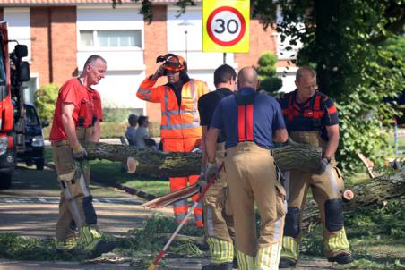 Kinderen en ouderen ontsnappen ternauwernood aan grote tak aan de Molenstraat Waalwijk