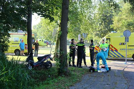 Zwaargewonde na botsing tegen boom in Waalwijk