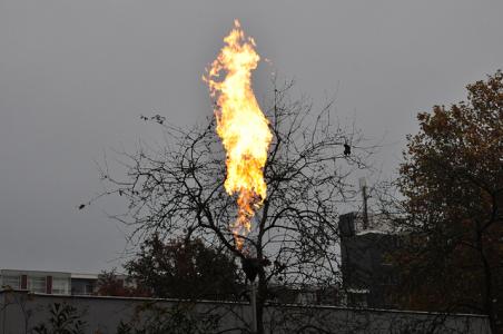 Brandweer rukt uit voor &#039;brand&#039; aan Dr. Kuyperlaan in Waalwijk