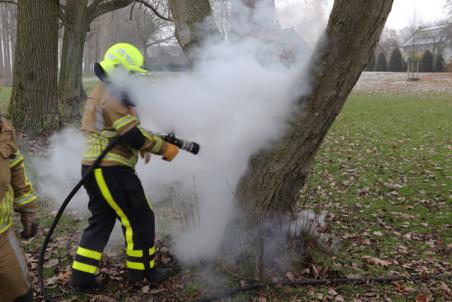 Boom in brand aan de Winterdijk Waalwijk