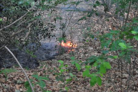 Brandweer rukt massaal uit voor bosbrand in Waalwijk