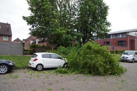 Schade en afgelastingen door harde wind in Brabant