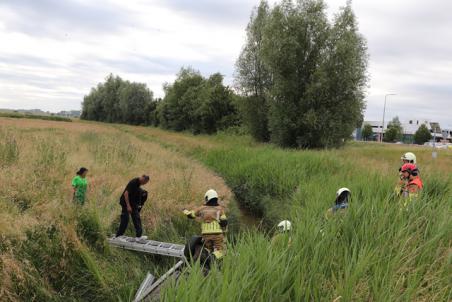 Auto op zijn kop in de sloot langs de A59 (Maasroute) Waalwijk