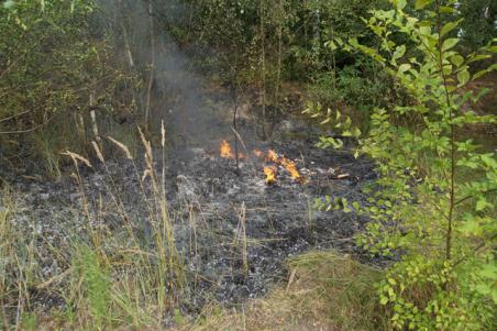 Wandelaars merken heidebrand in Waalwijk op, brandweer voorkomt erger