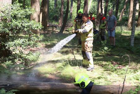 Klein buitenbrandje in bossen aan de Akkerlaan Waalwijk