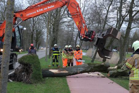 Boom waait om op fietspad aan de Burg. Smeelelaan Waalwijk