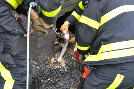 Brandweer hakt gat in muur bij flat in Waalwijk om kat te redden