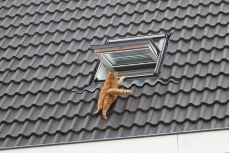Brandweer redt kat van dak aan de Gerard Knuvelderstraat Waalwijk