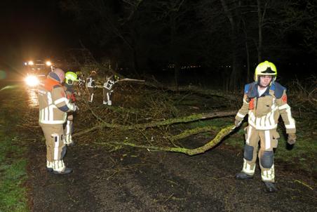 Fatbiker ontsnapt aan val door omgewaaide boom op Meidoornweg