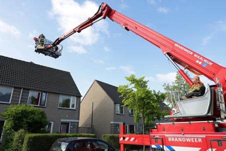 Kat zorgt voor commotie op dak aan A.B. van Lieshoutlaan in Waalwijk