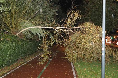 Omgewaaide boom blokkeert fietspad aan de Noorder Parallelweg Waalwijk