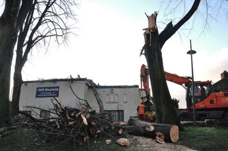 Boom valt op kantoorpand aan de Winterdijk Waalwijk