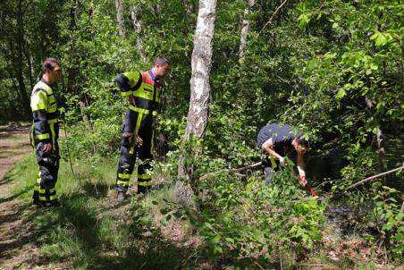 Twee brandjes in bossen aan de Drunenseweg Waalwijk