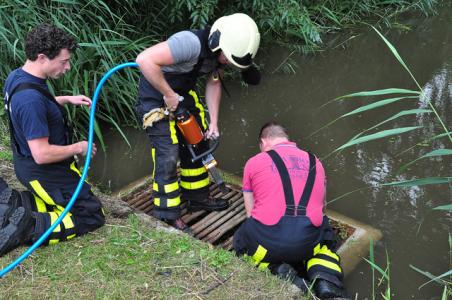 Brandweer Waalwijk redt zes jonge eendjes uit duiker in Waalwijk