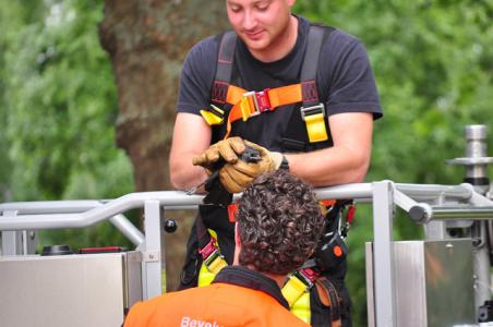 Kraai hangt vast in boom in Waalwijk