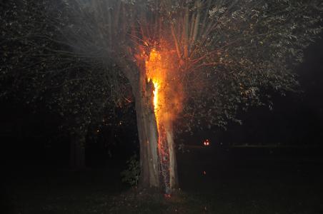 Automobilisten zien boom in brand staan langs de A59 (Maasroute) Waalwijk