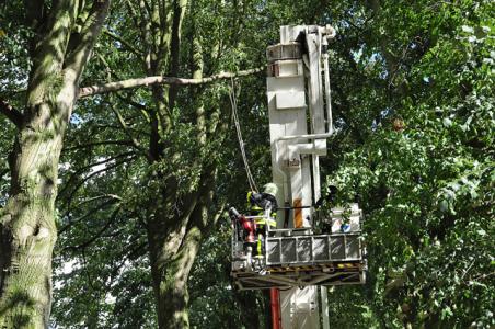 Gevaarlijke hangende tak aan de Winterdijk Waalwijk