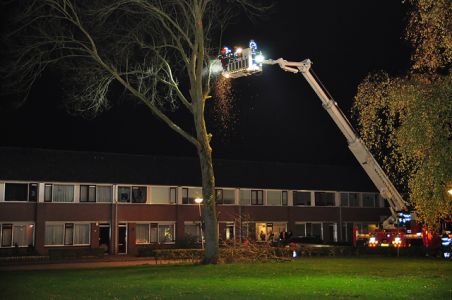 Brandweer haalt zieke boom neer aan de Richard Wagnerstraat Waalwijk
