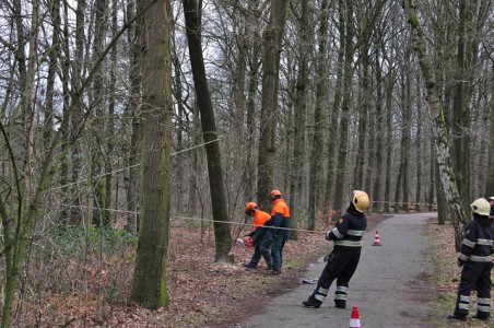 Boom dreigt om te vallen aan de Hoefsvenlaan Waalwijk