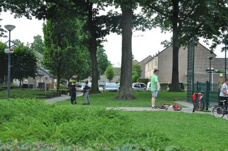 Twee aanhoudingen voor diefstallen in park