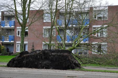 Veel stormschade in Waalwijk