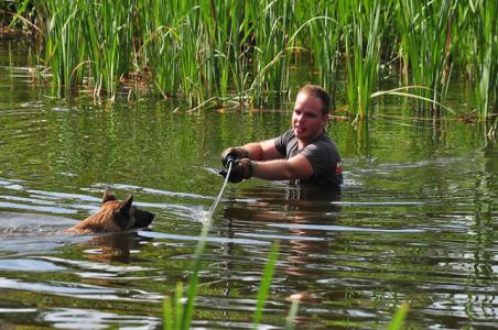 Brandweerman redt hond uit Waalwijkse vijver aan de Groenewoudlaan Waalwijk