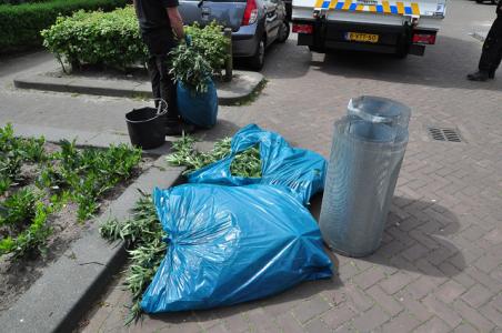 Hennepkwekerij gevonden in woning aan de Edouard Lalostraat Waalwijk