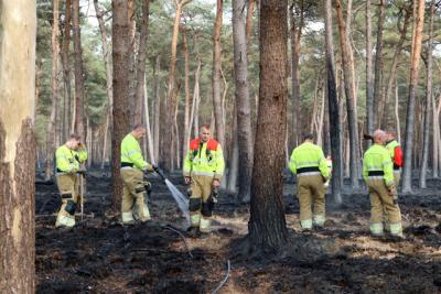 Brandweer blust hotspots na zeer grote bosbrand in Loonse en Drunense Duinen