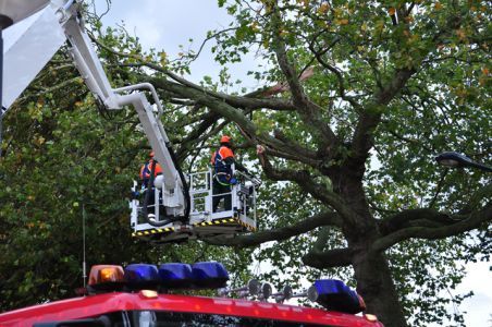 Grote gevaarlijke hangende tak boven wegdek aan de Burgemeester van der Klokkenlaan Waalwijk