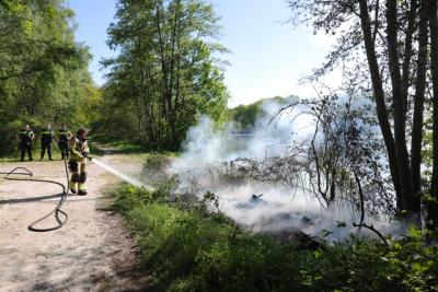 Bosbrand bij Het Lido snel bedwongen door brandweer