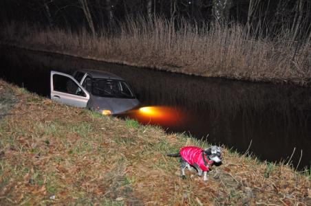 Auto belandt in sloot in Waalwijk; hondje zwemt naar de kant
