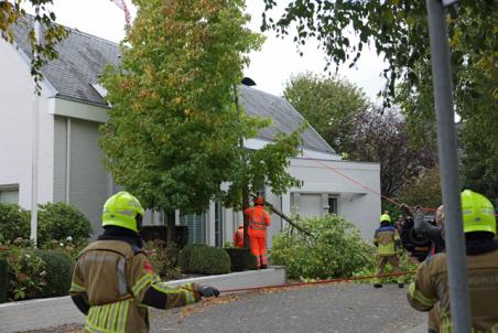 Brandweer haalt omvallende boom neer aan Jozef Israëlsstraat in Waalwijk