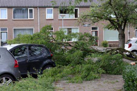 Grote tak valt op twee auto&#039;s aan de Prof. Treubstraat Waawijk