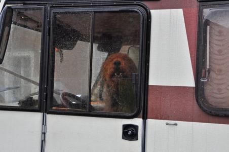 Camper met hond achtergelaten bij stoplicht in Waalwijk