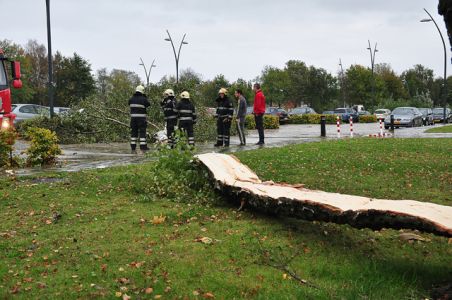 Boom breekt af op zwembad terrein aan de Drunenseweg Waalwijk