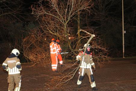 Boom op wegdek door storm aan de Beethovenlaan Waalwijk