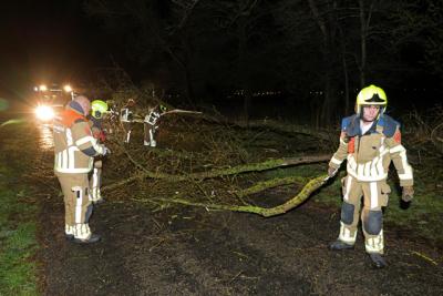 Fatbiker ontsnapt aan val door omgewaaide boom op Meidoornweg