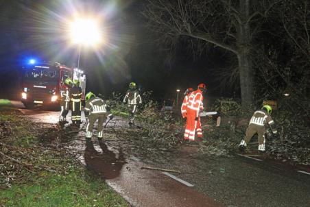 Grote boom op wegdek blokkeert Winterdijk Waalwijk