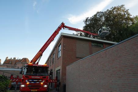 Kat in de boom houdt brandweer bezig aan Grotestraat: Dierenredding eindigt met sprong naar dak
